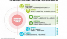 短视频平台营销,打造爆款内容的秘诀解析